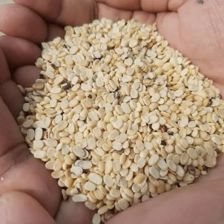 মাশকালাই ডাল ১ জেকি
