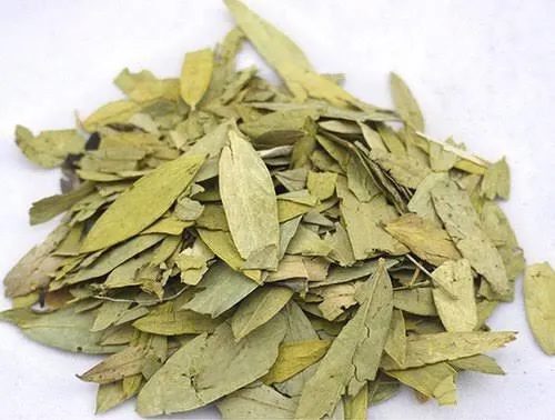 সোনা পাতা ১০০ গ্রাম