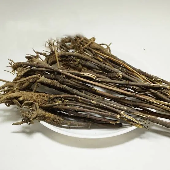 চিরতা ১০ গ্রাম