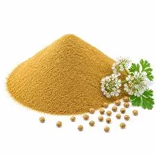ধনিয়ার গুঁড়া ১০০ গ্রাম