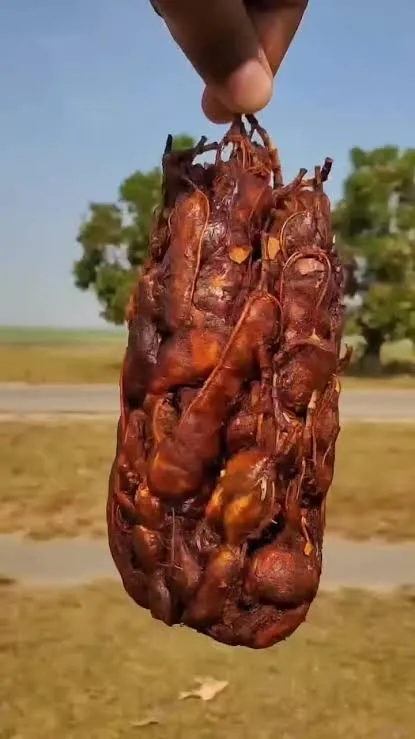 তেতুল ২৫০ গ্রাম