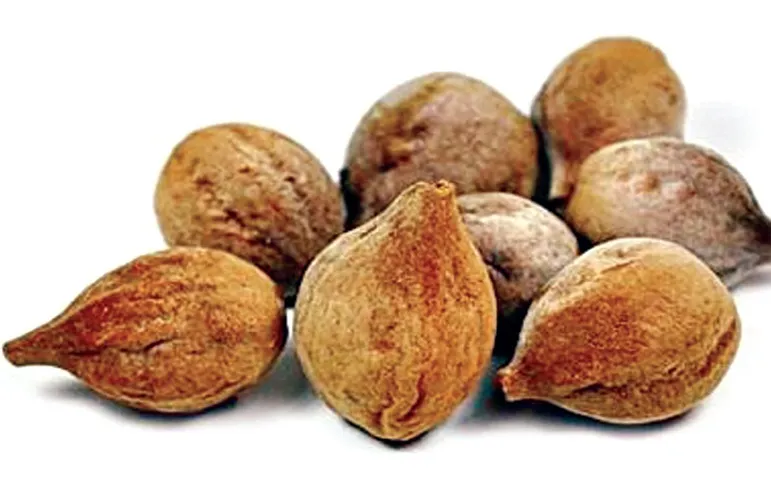 বহেরা মশলা ১০০ গ্রাম