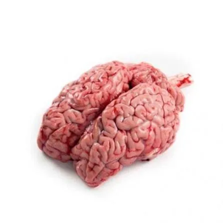 প্রতি দিনের তাজা গরুর মগজ প্রতি পিস