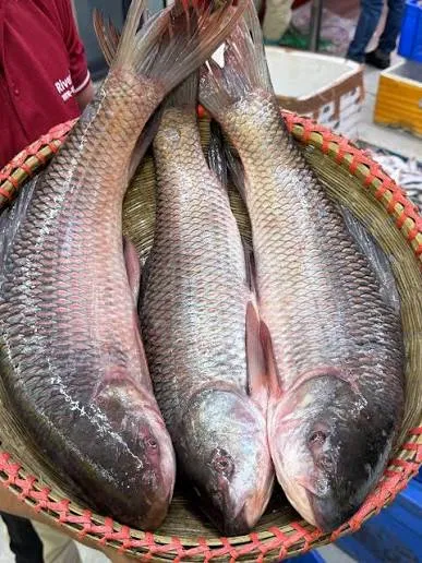 তাজা তেলাপিয়া মাছ ৫০০ গ্রাম