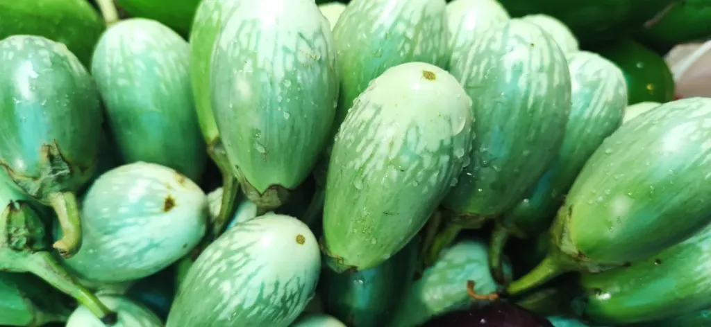 প্রতি দিনের তাজা সাদা বেগুন ১ কেজি