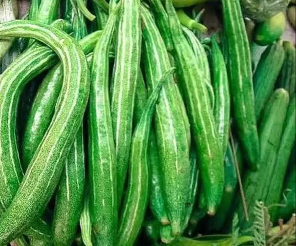 প্রতি দিনের তাজা চিচিংগা (১কেজি)