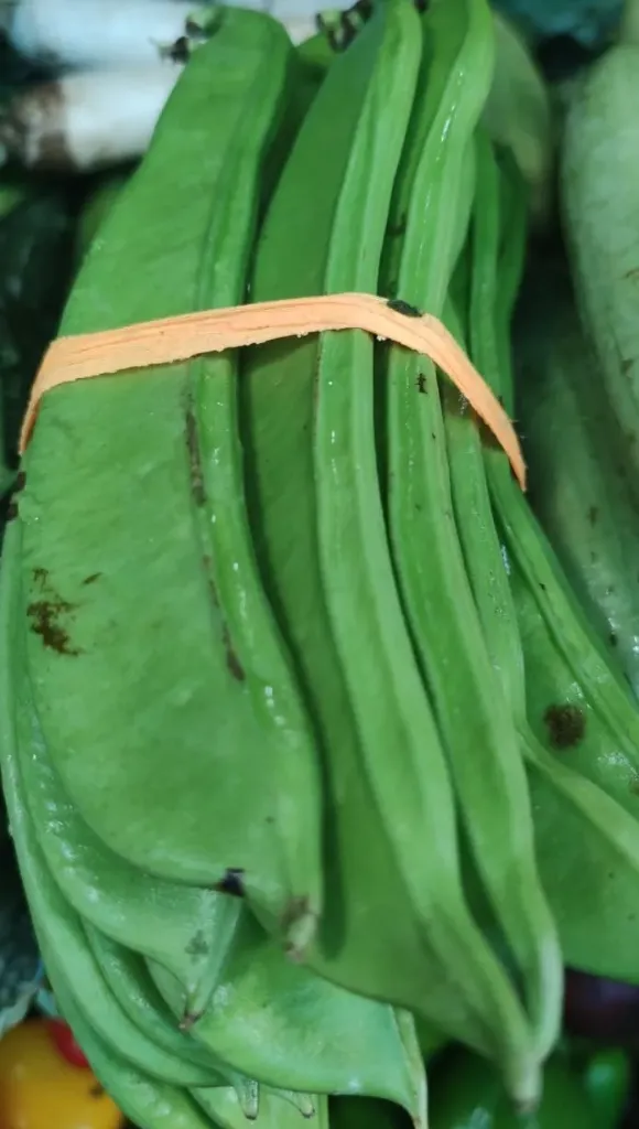 প্রতি দিনের তাজা মৌসি সিম ১ কেজি
