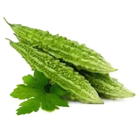 প্রতি দিনের তাজা লম্বা করলা