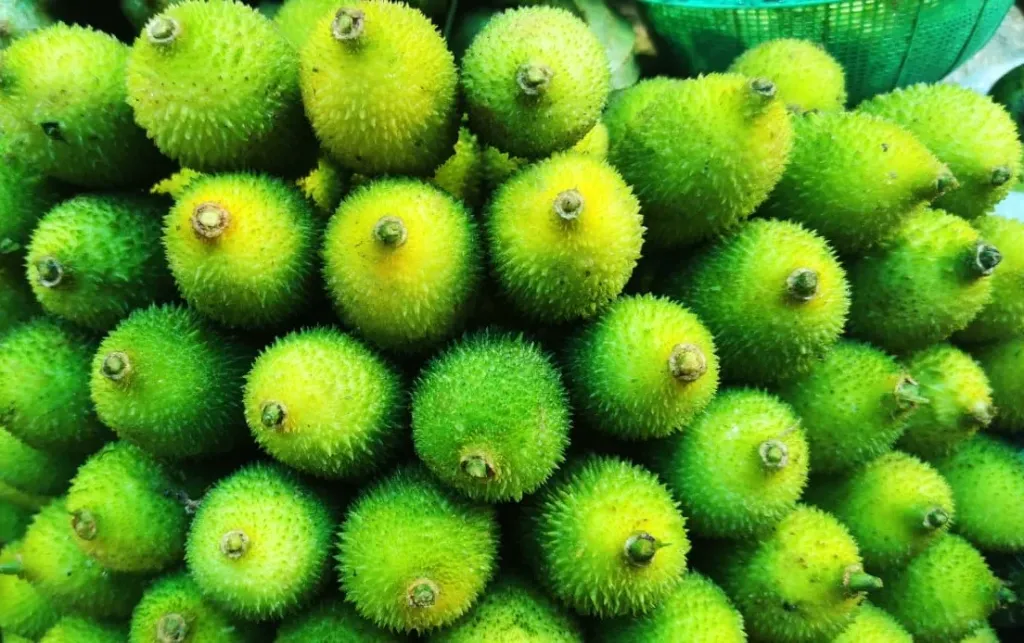 প্রতি দিনের তাজা কাকরোল ১ কেজি