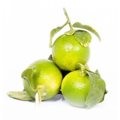 প্রতি দিনের তাজা এলাচি লেবু ৪ পিস