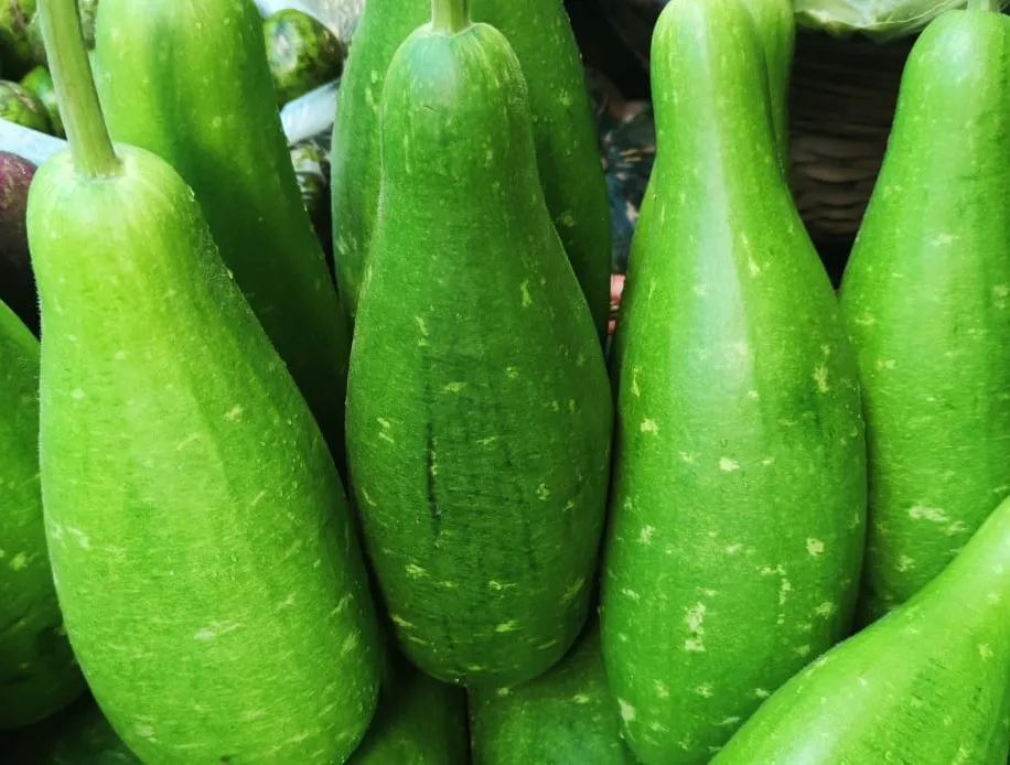 প্রতি দিনের তাজা লাউ প্রতি পিস