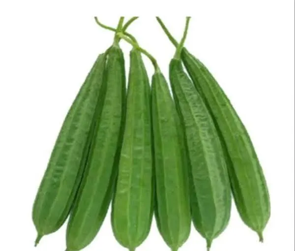 প্রতি দিনের তাজা জিঙ্গা ১ কেজি
