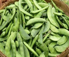 প্রতি দিনের তাজা ছোট সিম ১ কজি