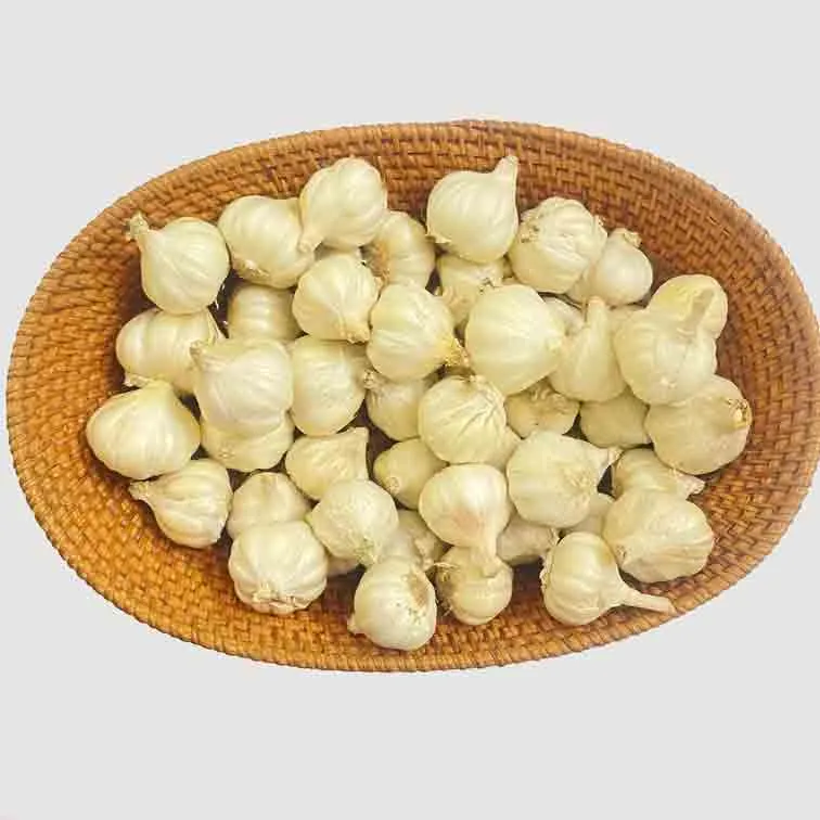 রসুন দেশী