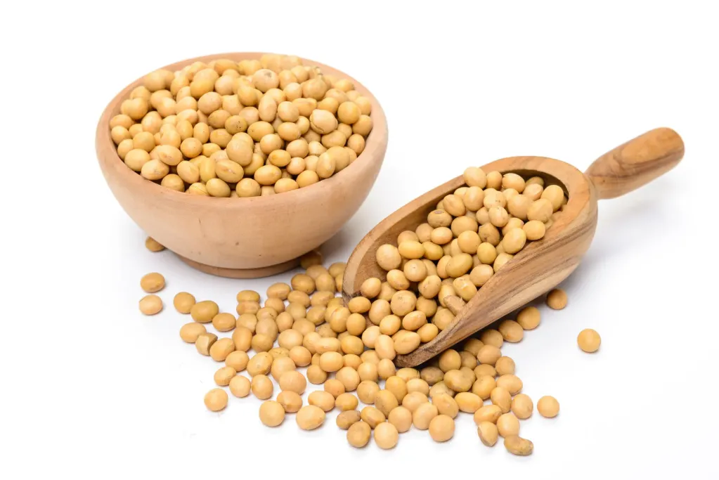 সয়াবিন ২৫০ গ্রাম