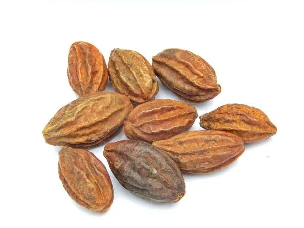 হরিতকী ২০০ গ্রাম