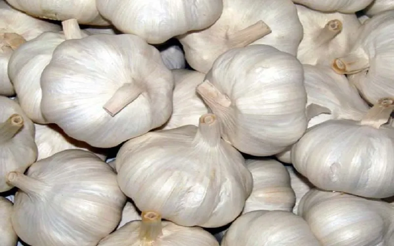 রসুন বড় ৫০০  গ্রাম
